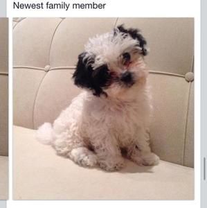 Meet your Posher, Ann